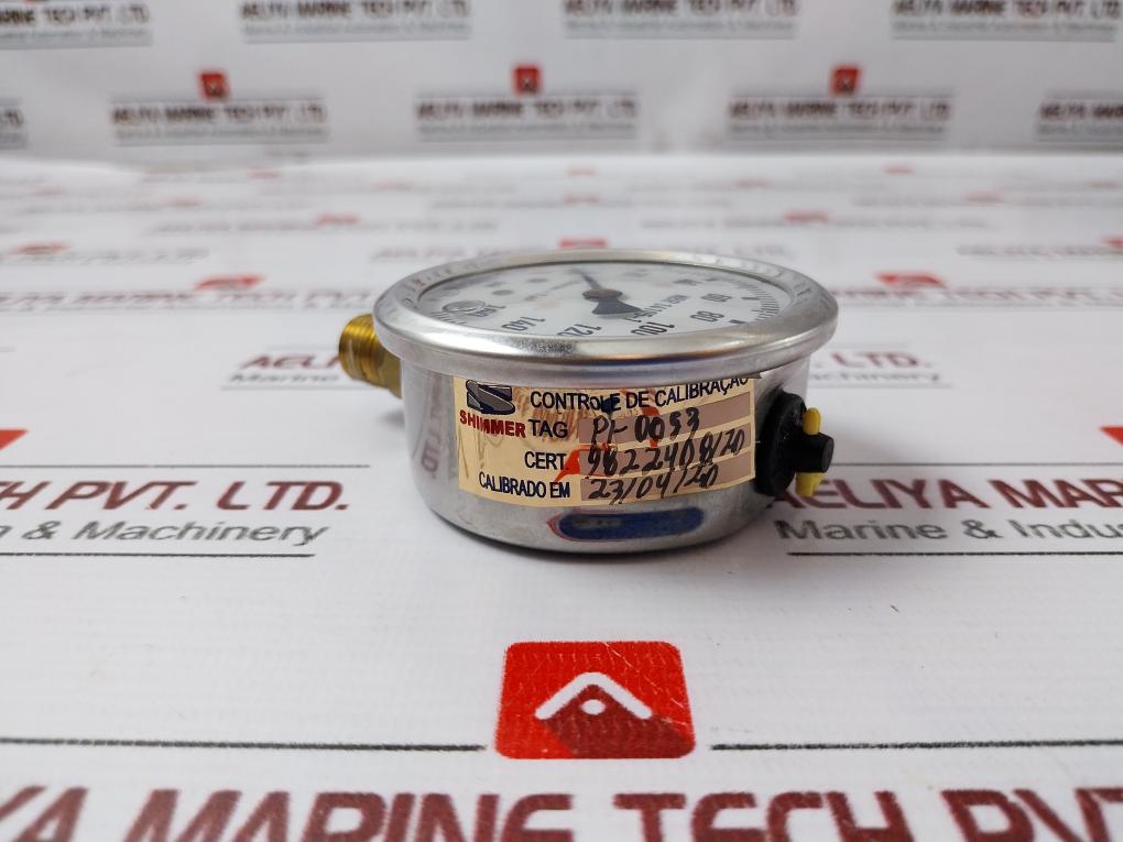 Wika 213.53.063 Gauge 1/4