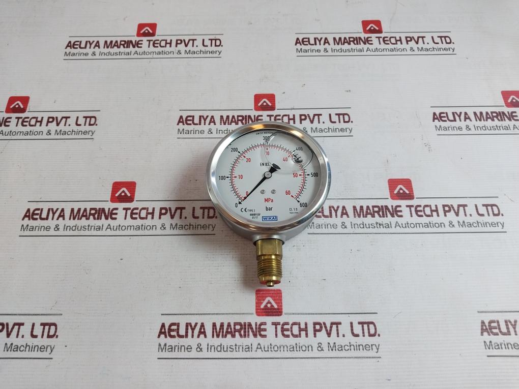 Wika 213.53.100 Mounting Pressure Gauge 8800Fgqf 64154549