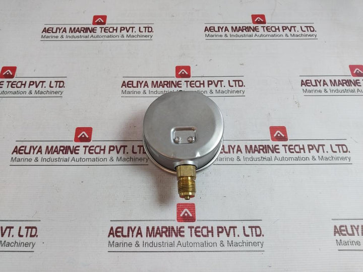 Wika 213.53.100 Mounting Pressure Gauge 8800Fgqf 64154549