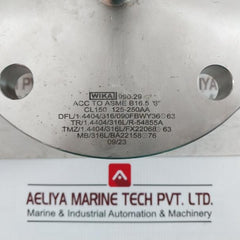 Wika 990.29 Diaphragm Level Transmitter Flange Cl150 125-250Aa Dc704 F316L Mb-ba22158&nbsp;