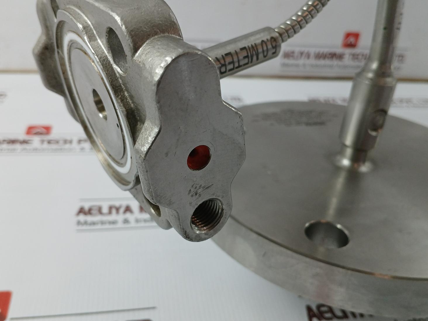 Wika 990.29 Diaphragm Seal With Flange Connection 316L Ss, Cl150 125-250Aa