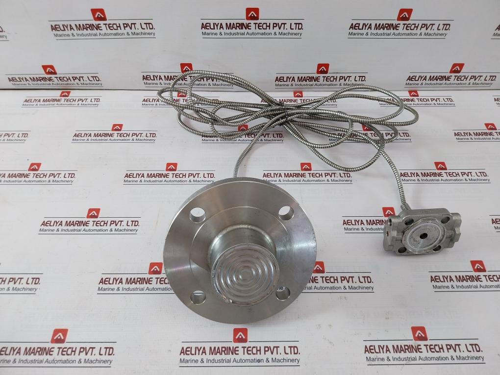 Wika 990.29 Diaphragm Seal With Flange Connection Cl150 125-250Aa, 316L Ss