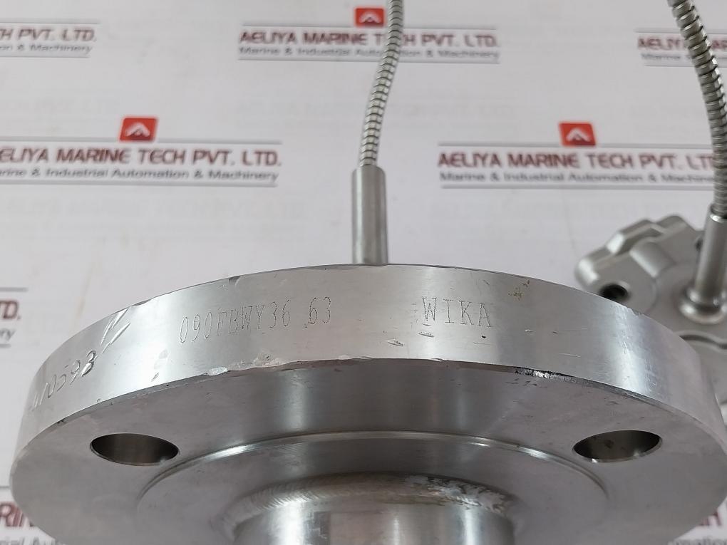 Wika 990.29 Diaphragm Seal With Flange Connection Cl150 125-250Aa, 316L Ss