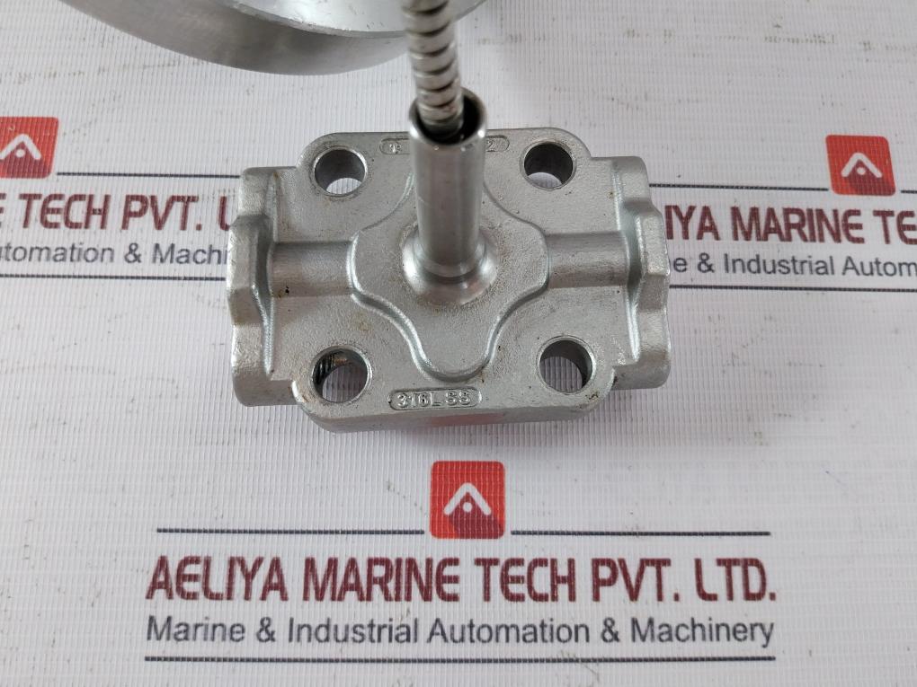 Wika 990.29 Diaphragm Seal With Flange Connection Cl150 125-250Aa, 316L Ss