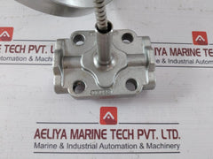 Wika 990.29 Diaphragm Seal With Flange Connection Cl150 125-250Aa, 316L Ss