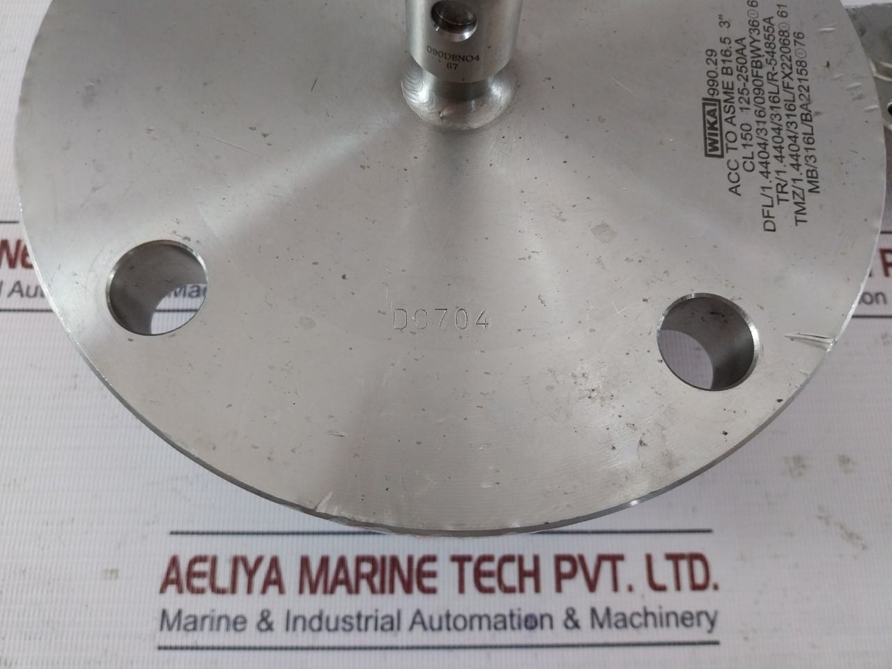 Wika 990.29 Diaphragm Seal With Flange Connection Cl150 125-250Aa, 316L Ss