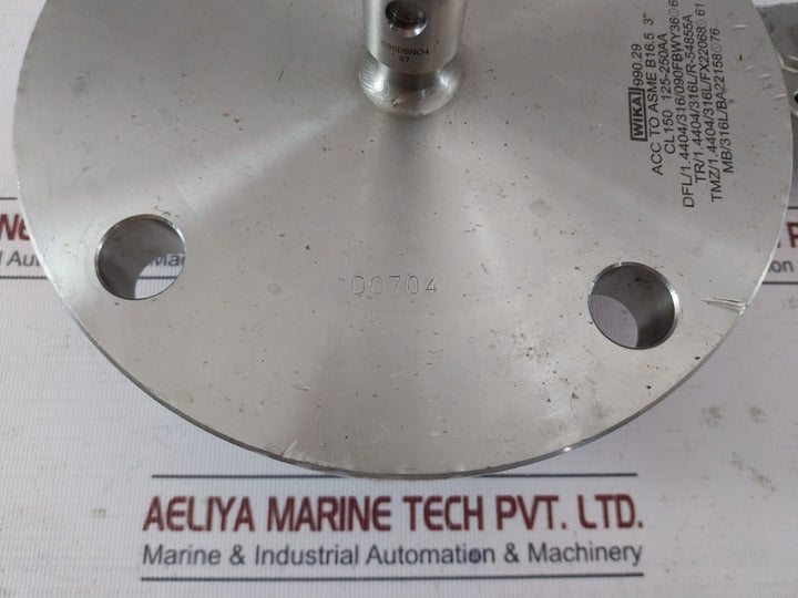 Wika 990.29 Diaphragm Seal With Flange Connection Cl150 125-250Aa, 316L Ss