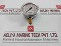 Wika Pressure Gauge 0-1000 Bar 213.53