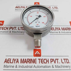 Wika Pressure Gauge 230.20.100