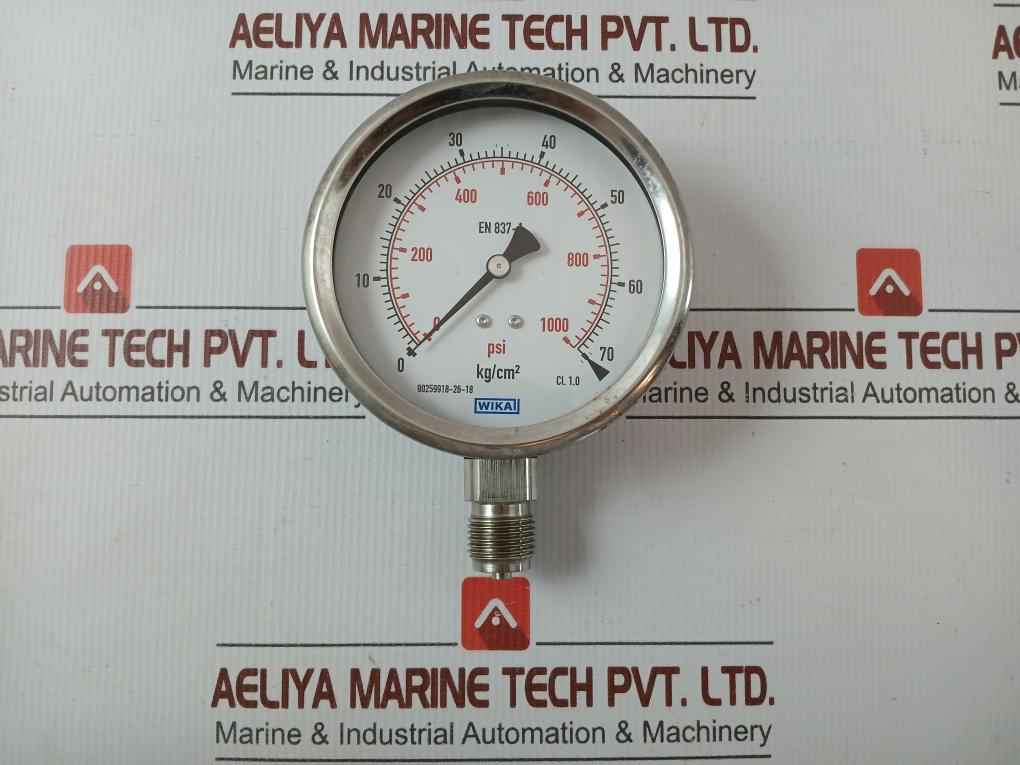 Wika Pressure Gauge 232.53.100