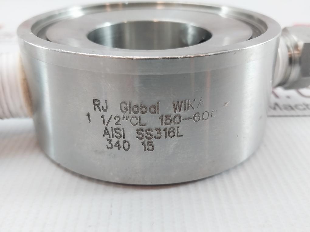 Wika Aisi Ss316L Flush Ring