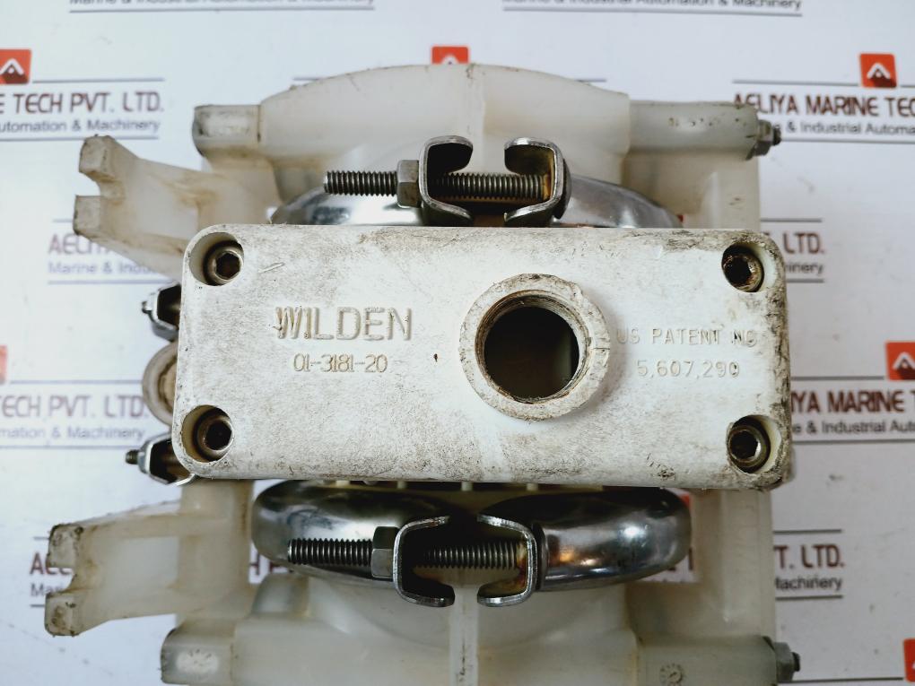 Wilden 01-3181-20 Diaphragm Pump 01-2332-20