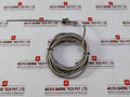 Winding Temperature Sensor 3-wire -200°C To 600°C-5.5 Meter