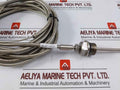 Winding Temperature Sensor 3-wire -200°C To 600°C-5.5 Meter