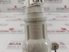 Wiska 1145/Fs Hna Coupling 250V/2 Q-83 Ip56