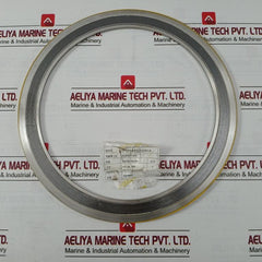 Wj 304 304/Fg 304 Spiral Wound Flange Gasket 4.5T 10K 250A