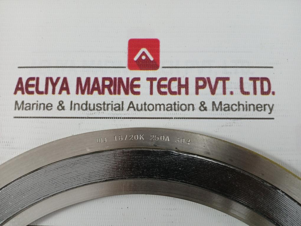 Wj 304/304/Fg/304 Spiral Wound Gaskets 16/20K 250A