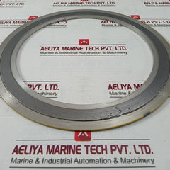 Wj 304/304/Fg/304 Spiral Wound Gaskets 16/20K 250A