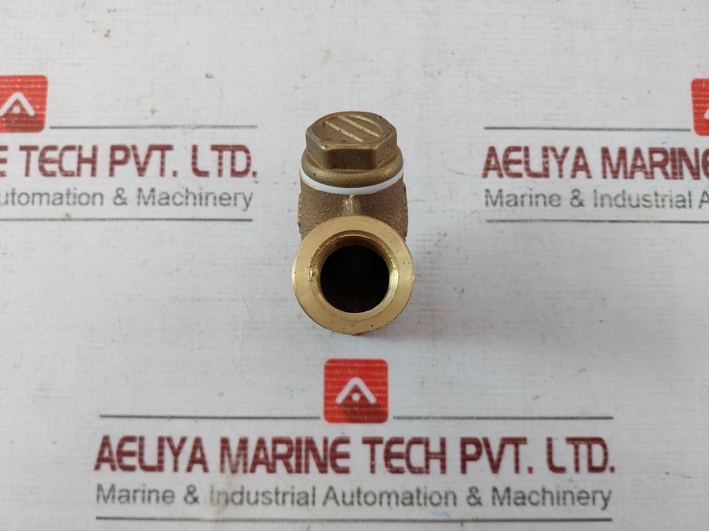 Wonil 15A Y-type Strainer Valve