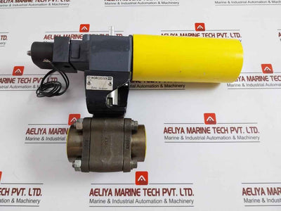 Worcester B 34Sw Pneumatic Valve Actuator 110/50 120/60