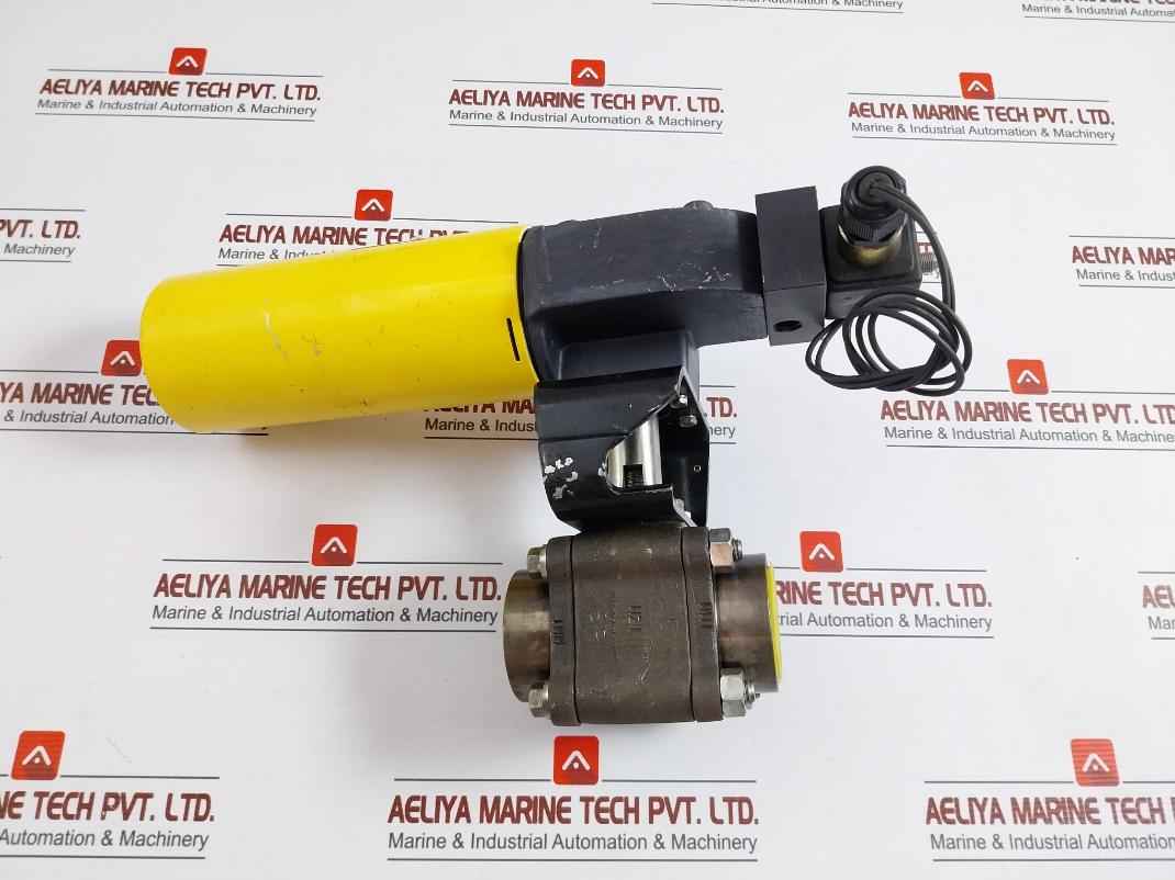 Worcester B 34Sw Pneumatic Valve Actuator 110/50 120/60