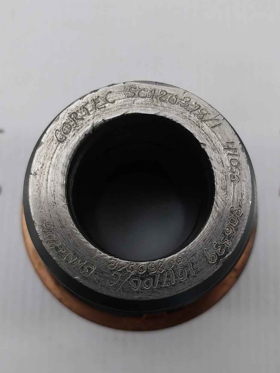 Worldwide By0754 Choke Manifold Seat Sc120378/1