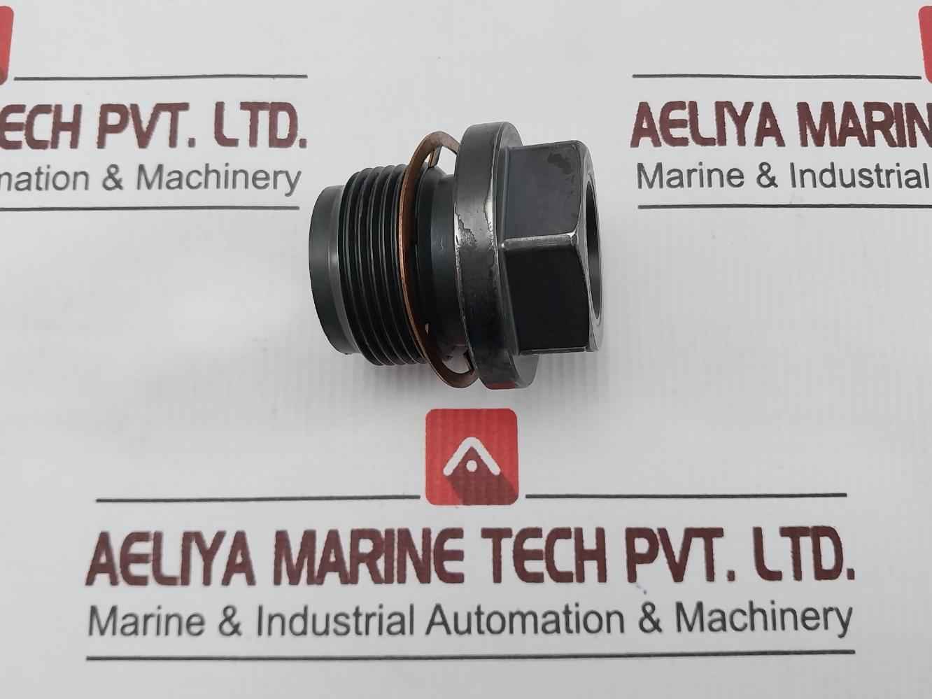 Worldwide By0754 Choke Manifold Seat Sc120378/1