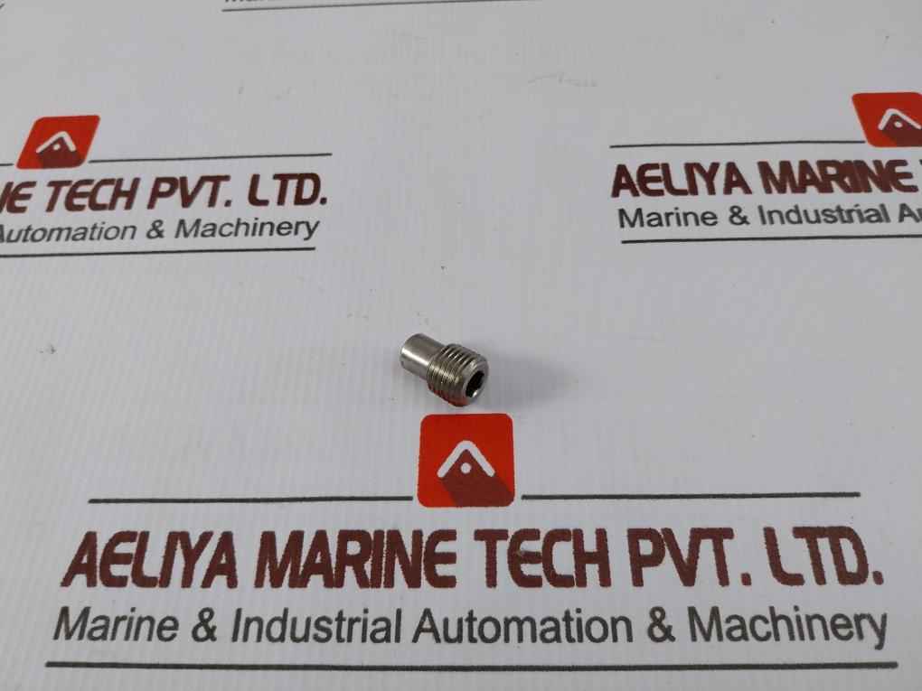 Worldwide Wm-931 Internal Check Valve Assembly - 30074984