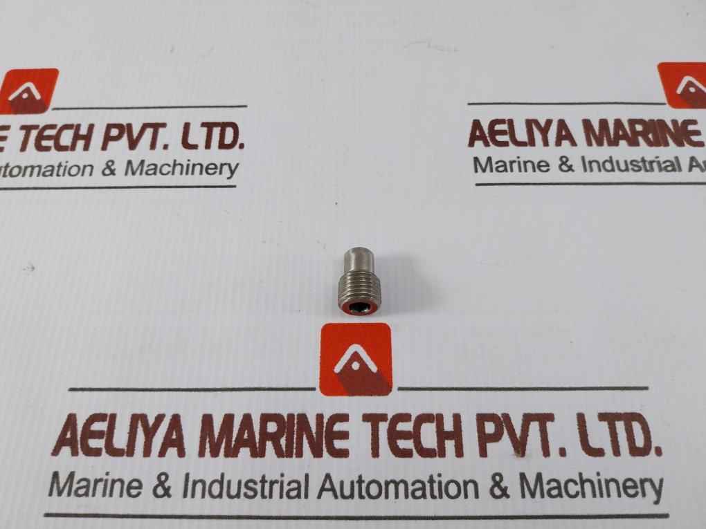 Worldwide Wm-931 Internal Check Valve Assembly - 30074984