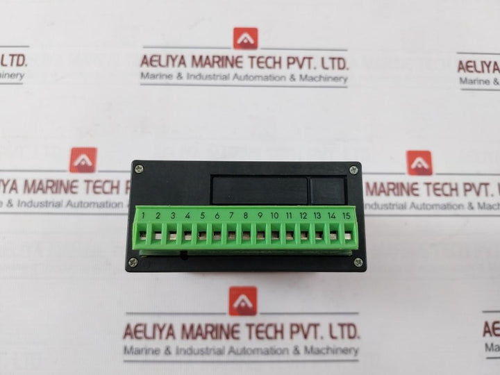 Wse 131.000/2100 Pt100 Digital Built-in Thermometer 230 Vac 24 Vdc/30 Ma Ip40