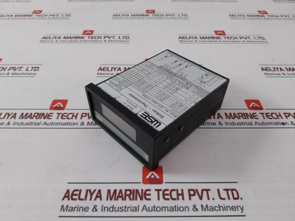 Wse 131.000/2100 Pt100 Digital Built-in Thermometer 230 Vac 24 Vdc/30 Ma Ip40
