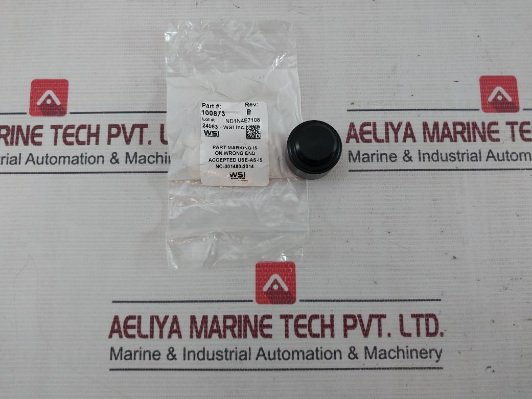 Wsi 100873 Spm Nut Piston Stem Valve Kit 100742-e Y11035 Ung-2Bf Rev.B