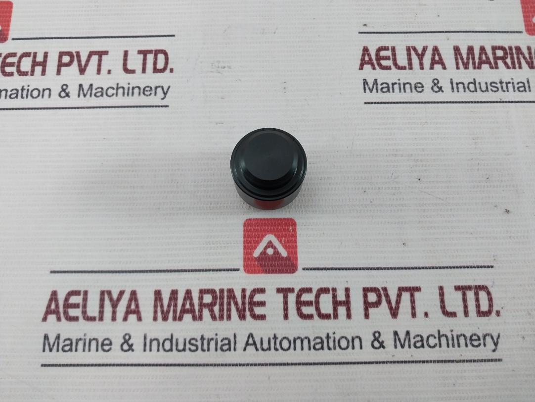 Wsi 100873 Spm Nut Piston Stem Valve Kit 100742-e Y11035 Ung-2Bf Rev.B