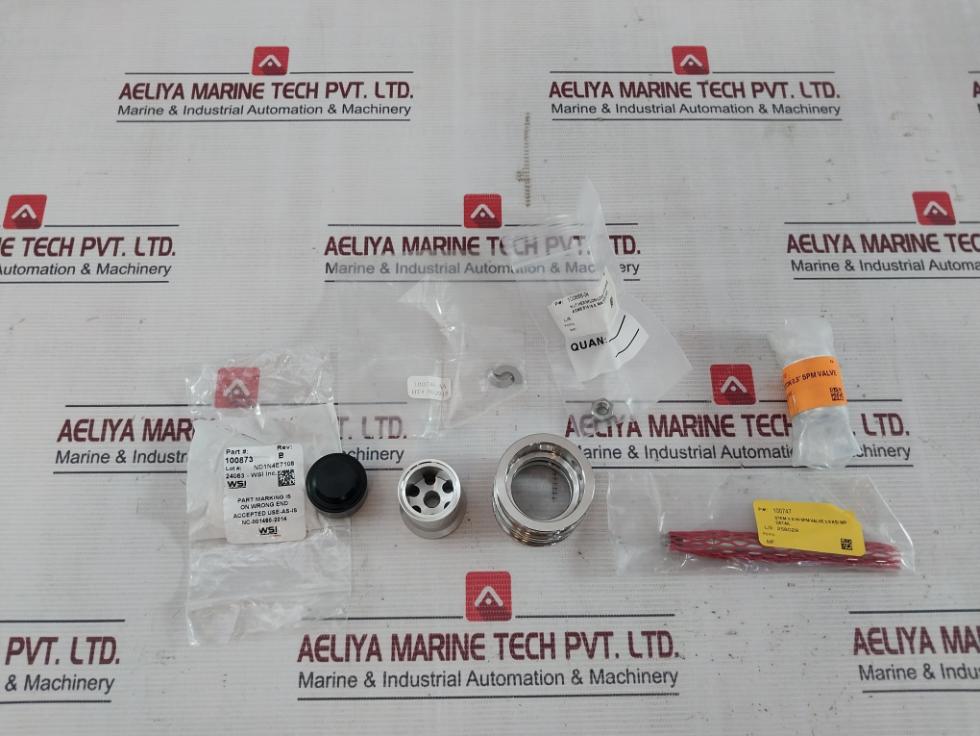 Wsi 100873 Spm Nut Piston Stem Valve Kit 100742-e Y11035 Ung-2Bf Rev.B