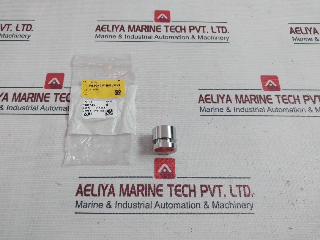 Wsi 100873 Spm Nut Piston Stem Valve Kit Y11035 Rev.B N02918 0.5-in