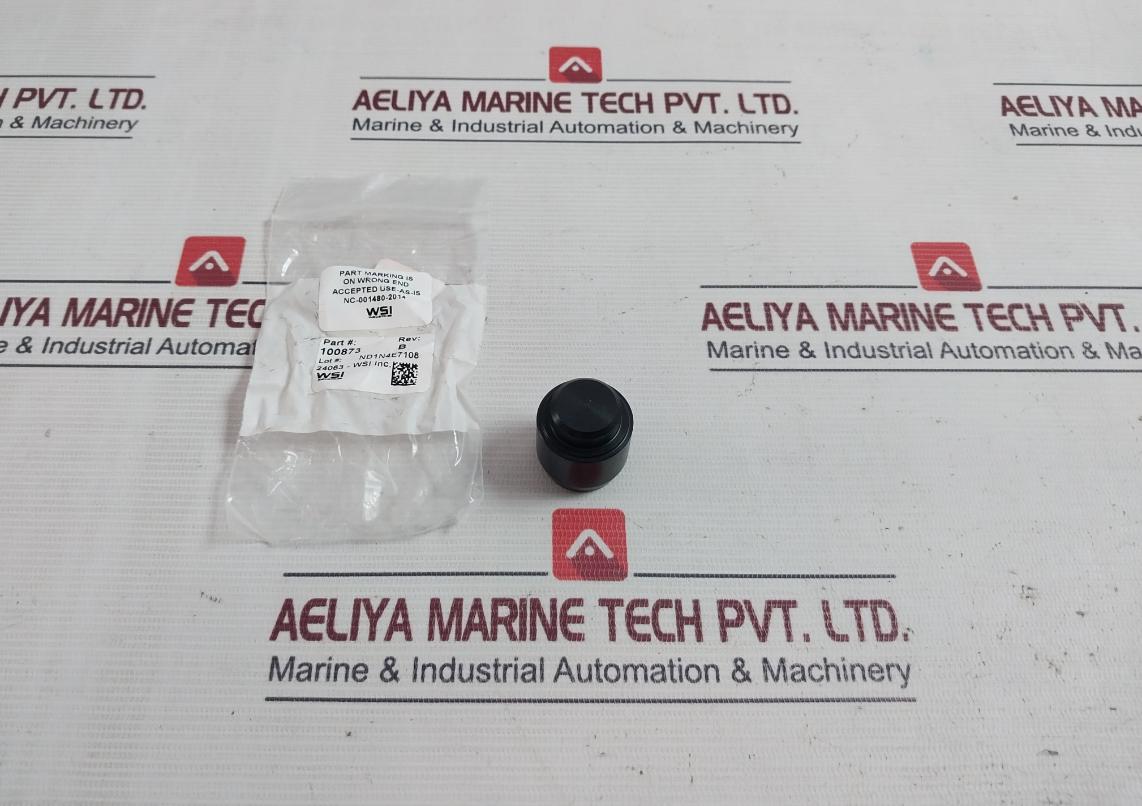 Wsi 100873 Spm Nut Piston Stem Valve Kit Y11035 Rev.B N02918 0.5-in