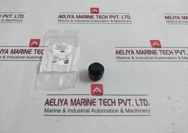 Wsi 100873 Spm Nut Piston Stem Valve Kit Y11035 Rev.B N02918 0.5-in