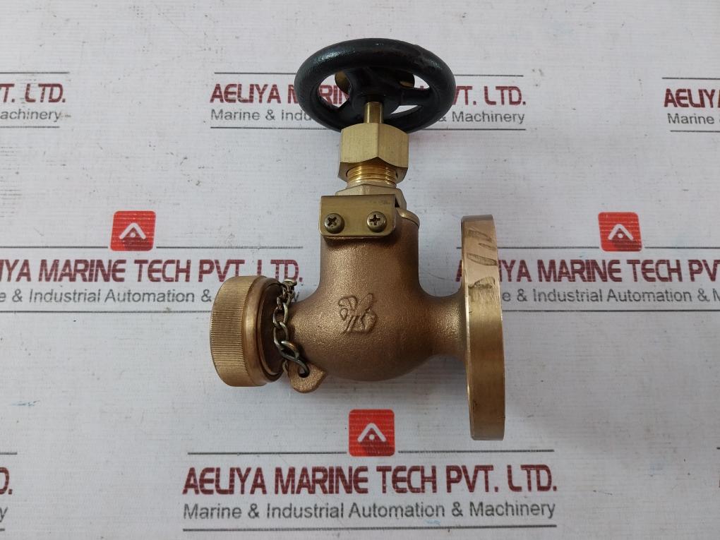 Wtp 2.06 Mpa Bronze Globe Valve 10-15