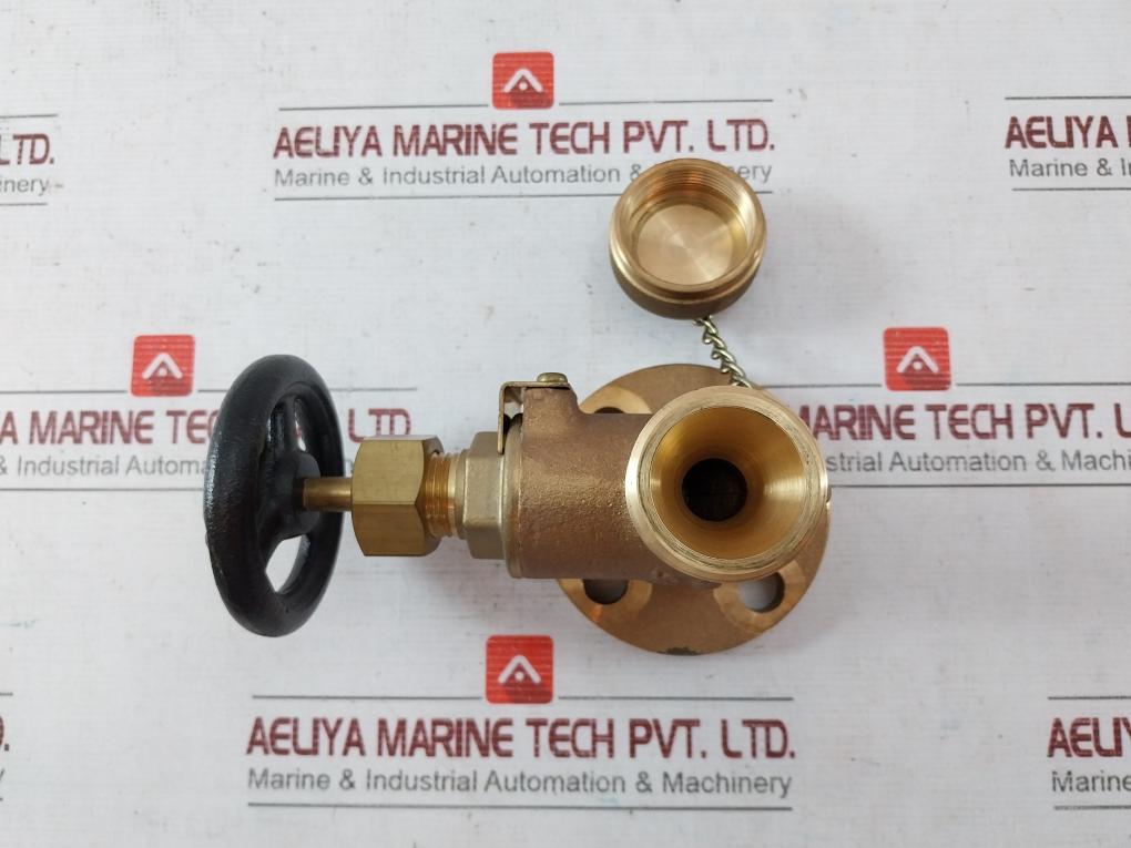 Wtp 2.06 Mpa Bronze Globe Valve 10-15