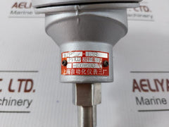Wzp-138 Temperature Sensor Shanghai Automation