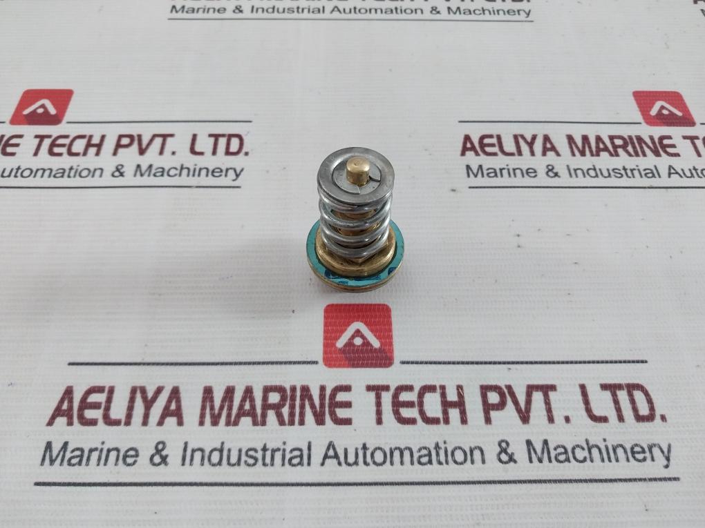 X-22517 B4B Regulator Cage Valve