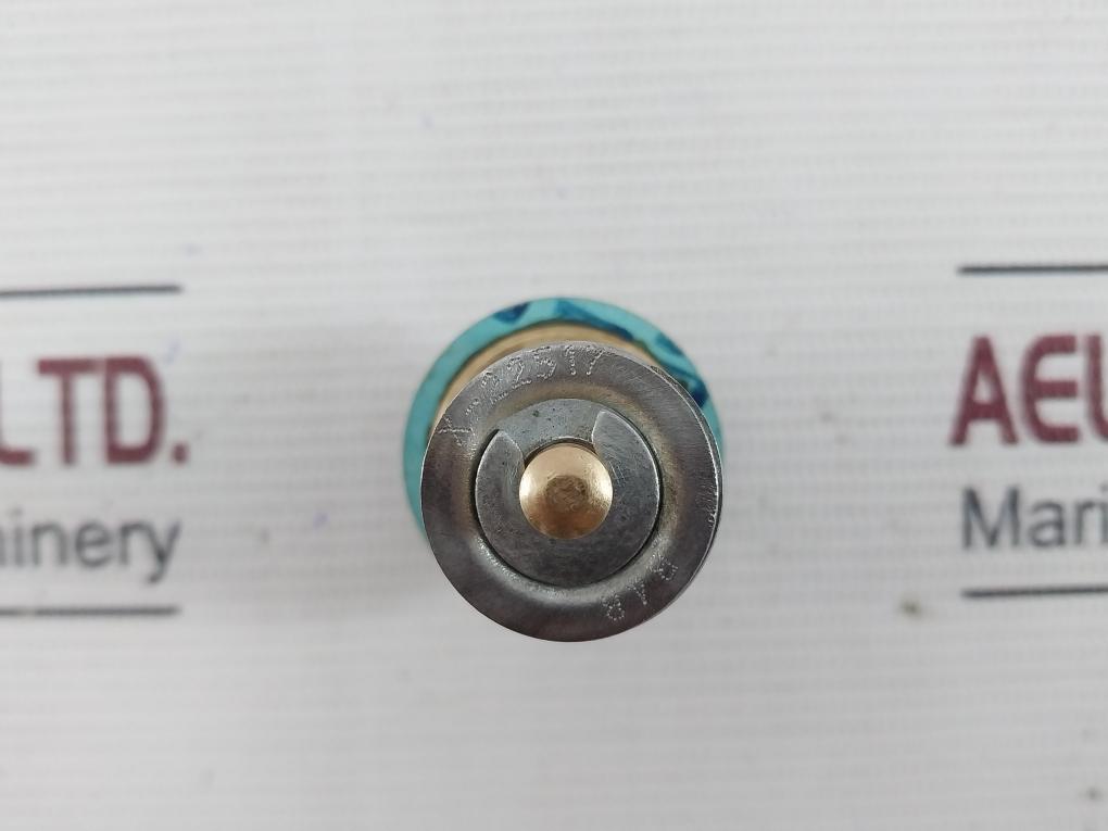 X-22517 B4B Regulator Cage Valve