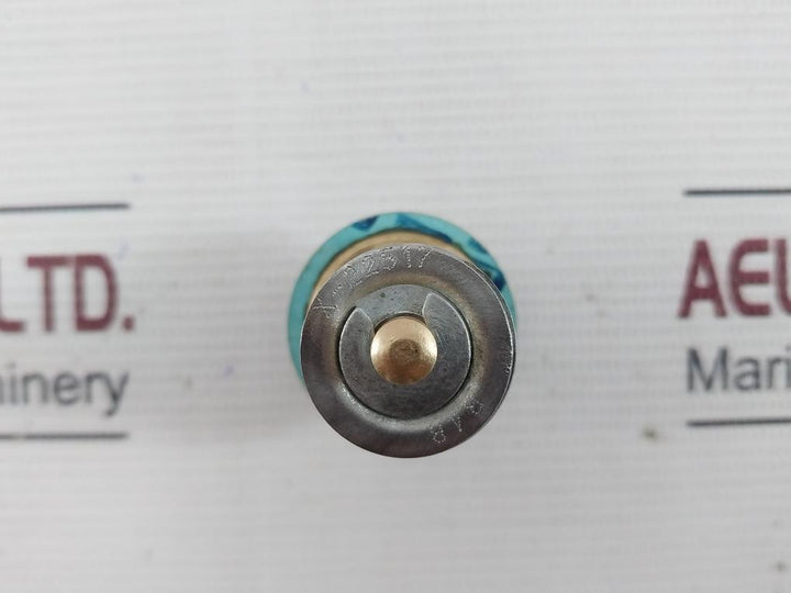 X-22517 B4B Regulator Cage Valve