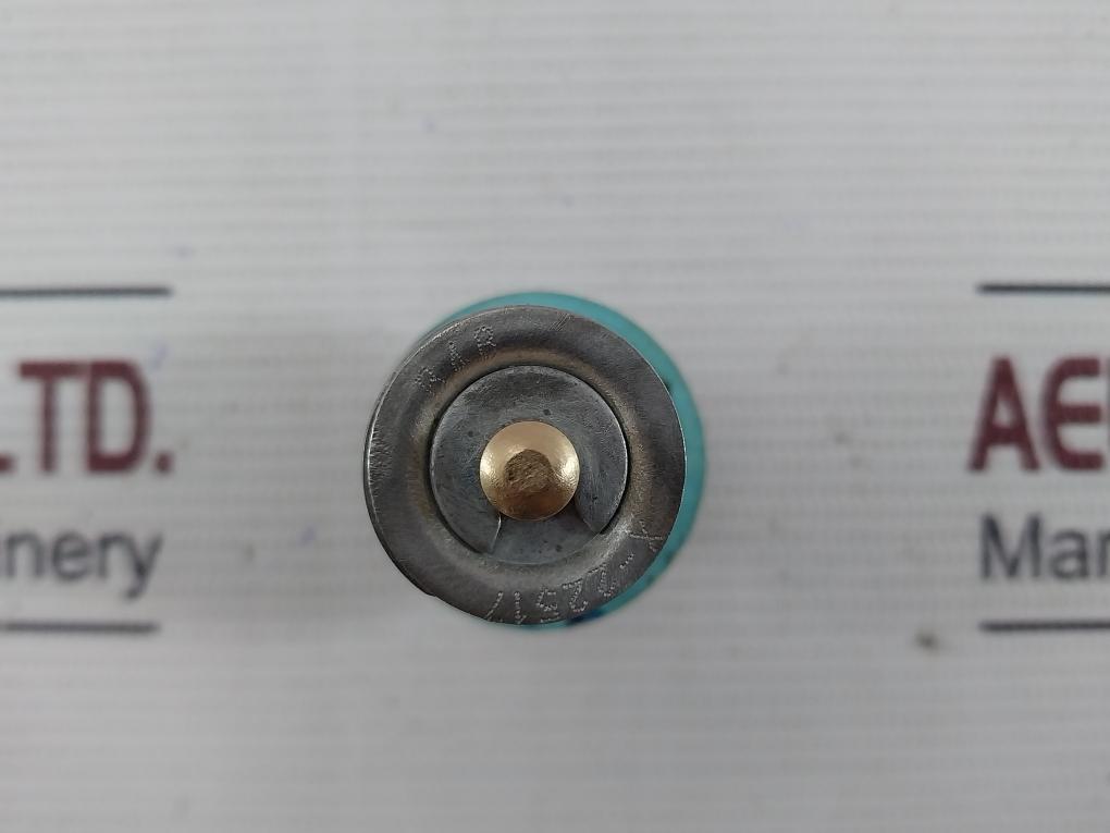 X-22517 B4B Regulator Cage Valve