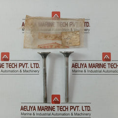 Yanmar 4Dp22A, 146613-71090, 146608-51700  Engine Repair Kit 141616-01830