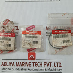 Yanmar 4Dp22A, 146613-71090, 146608-51700  Engine Repair Kit 141616-01830