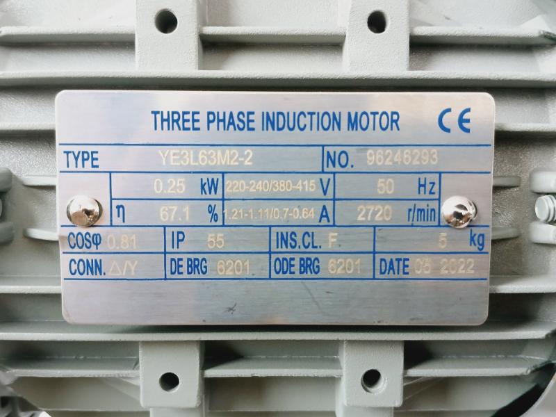 Ye3l63m2-2 Three-phase Induction Motor 0.25kw 220-240/380-415v 50hz