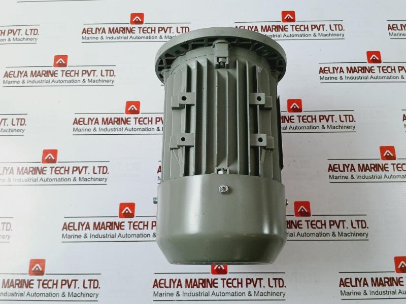 Ye3l63m2-2 Three-phase Induction Motor 0.25kw 220-240/380-415v 50hz