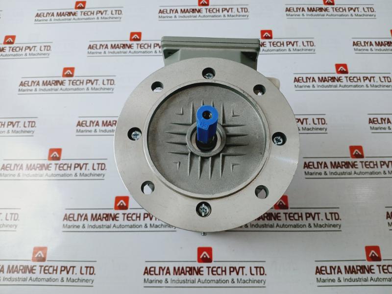 Ye3l63m2-2 Three-phase Induction Motor 0.25kw 220-240/380-415v 50hz