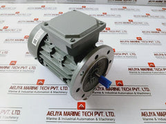 Ye3l63m2-2 Three-phase Induction Motor 0.25kw 220-240/380-415v 50hz